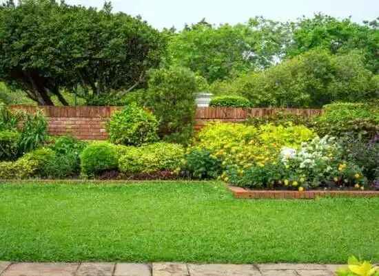 landscaping services Colesville